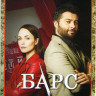 Барс (Касл) (34 серии) на DVD
