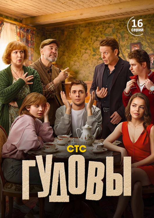 Гудовы (16 серий)(2DVD)* на DVD