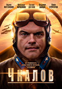Чкалов (8 серий) на DVD