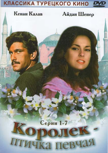 Королек птичка певчая  на DVD