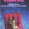 Королевские каникулы на DVD