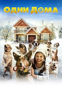 Одни дома на DVD