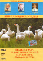 Изображение товара Живая энциклопедия Белые гуси (Белые гуси / Редкие виды журавлей / Боровая дичь / Дрофа красотка)