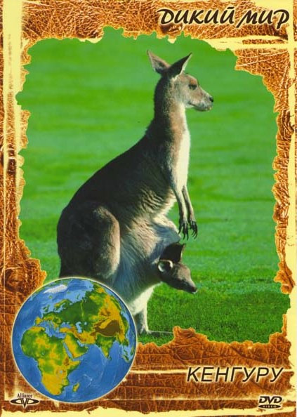 Дикий мир Кенгуру на DVD Дикий мир Кенгуру на DVD