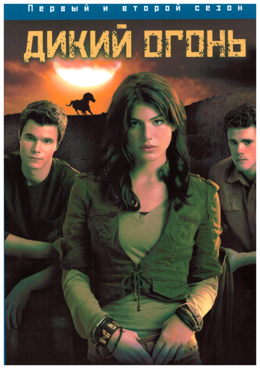 Дикий огонь 1,2 Сезоны (26 серий) (4DVD) на DVD