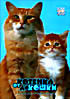 От котенка до кошки на DVD