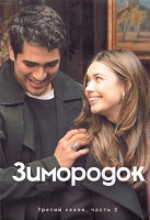 Изображение товара Зимородок 3 Сезон 2 Часть (9-16 серии) (4DVD)