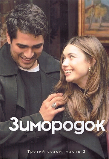 Зимородок 3 Сезон 2 Часть (9-16 серии) (4DVD) на DVD