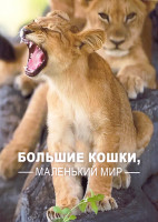 Изображение товара Большие кошки маленький мир 1 Сезон (2 серии)