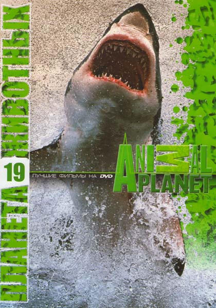 Планета животных 19 (Абсолютные хищники / Акульи психоаналитик / Белая акула, красный треугольник / Бычьи акулы с Найджелом Марвеном / Дело об акульем на DVD