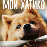 Мой Хатико (Blu-ray)* на Blu-ray