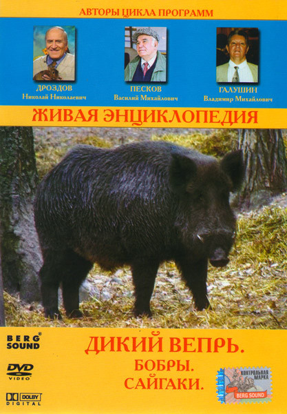 Живая энциклопедия Дикий вепрь (Дикий вепрь / Бобры / Сайгаки) на DVD Живая энциклопедия Дикий вепрь (Дикий вепрь / Бобры / Сайгаки) на DVD