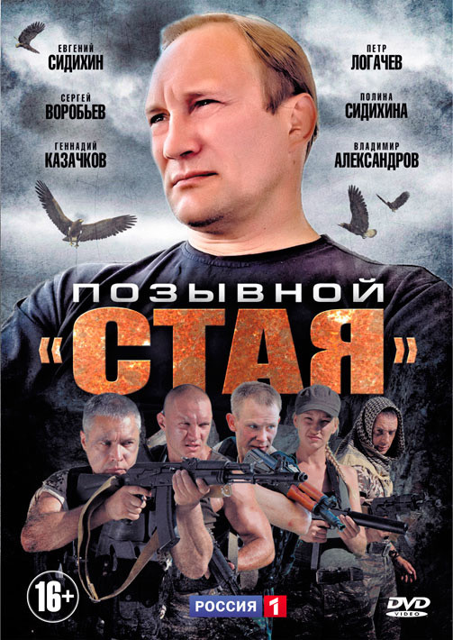 Позывной Стая (8 серий) на DVD Позывной Стая (8 серий) на DVD