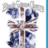 Black Stone Cherry Thank You Living Live Birmingham UK (Blu-ray)* на Blu-ray Black Stone Cherry Thank You Living Live Birmingham UK (Blu-ray)* на Blu-ray