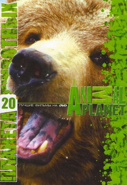 Планета животных 20 (Чужак среди медведей (5 серий) / Эхо и слоны Амбозели (8 серий) / Пандамониум (5 серий) / Львы обретение свободы / Львы и Великан на DVD Планета животных 20 (Чужак среди медведей (5 серий) / Эхо и слоны Амбозели (8 серий) / Пандамониум (5 серий) / Львы обретение свободы / Львы и Великан на DVD