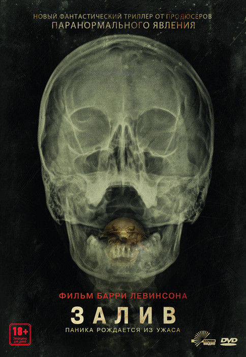 Залив на DVD Залив на DVD