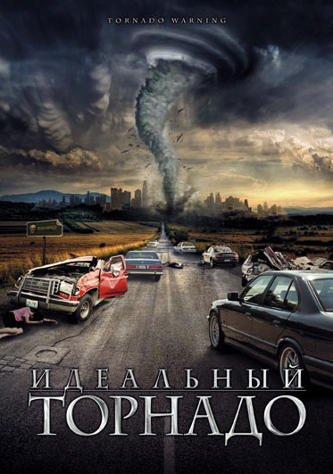 Идеальный торнадо на DVD