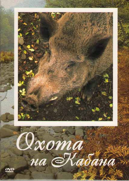 Охота на кабана на DVD