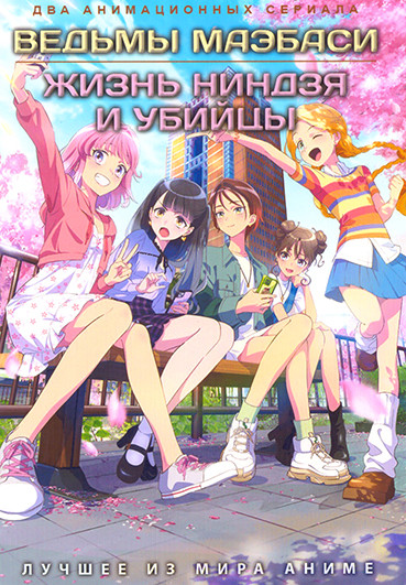 Ведьмы Маэбаси / Жизнь ниндзя и убийцы (2 DVD) на DVD