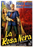 Изображение товара Черная роза