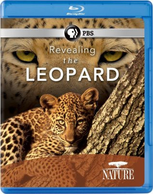Тайная жизнь леопарда (Blu-ray) на Blu-ray