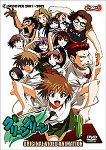 Жаркое лето. Уроки 7-12 на DVD