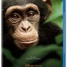 Шимпанзе (Blu-ray) на Blu-ray