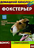 Домашний кинолог.Фокстерьер на DVD Домашний кинолог.Фокстерьер на DVD