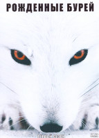 Изображение товара Рожденные бурей 1 Сезон (3 серии)