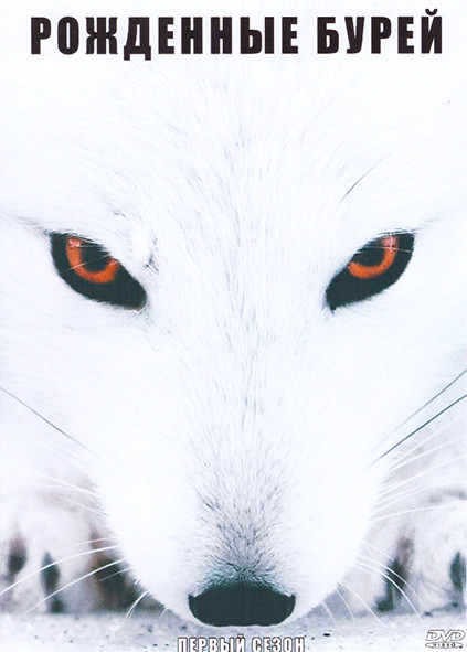Рожденные бурей 1 Сезон (3 серии) на DVD