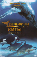 Изображение товара Дельфины и киты Обитатели океана