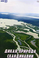 Изображение товара Дикая природа Скандинавии 1 Сезон (7 серий)