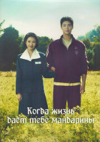 Изображение товара Когда жизнь дает тебе мандарины 1 Сезон (16 серий) (4DVD)