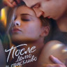 После Долго и счастливо на DVD