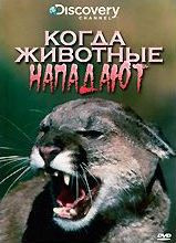 Discovery Когда животные нападают на DVD