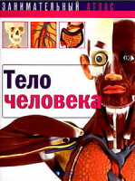 Изображение товара Тело