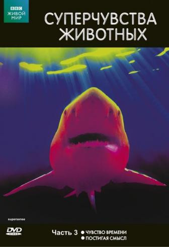 BBC Суперчувства животных 3 Часть (Чувство времени / Постигая смысл) на DVD BBC Суперчувства животных 3 Часть (Чувство времени / Постигая смысл) на DVD