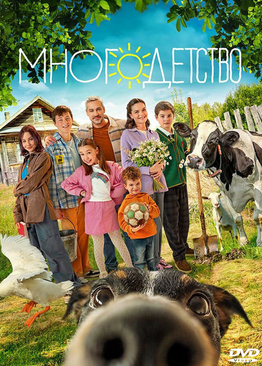 Многодетство (12 серий) (2DVD)* на DVD