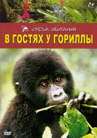 Изображение товара В гостях у гориллы
