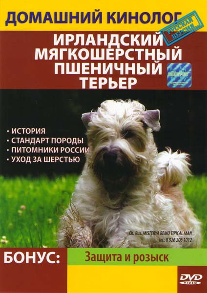 Домашний кинолог Ирландский мягкошерстный пшеничный терьер на DVD Домашний кинолог Ирландский мягкошерстный пшеничный терьер на DVD