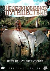 Необыкновенное путешествие: история про двух слонят на DVD