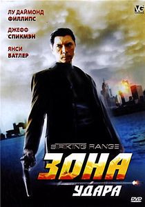 Зона удара  на DVD