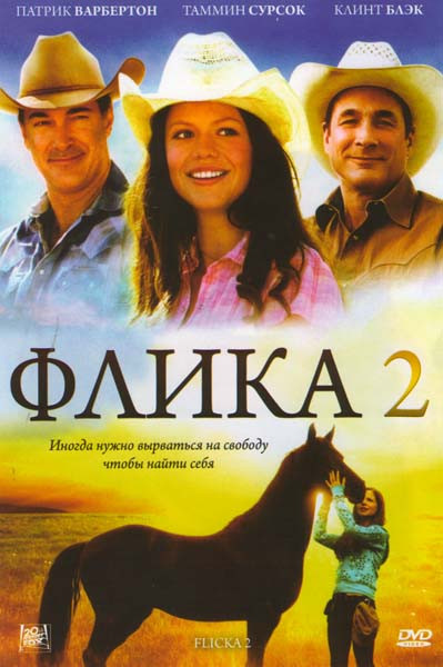 Флика 2 на DVD