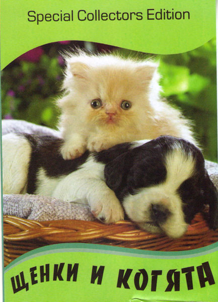 Щенки и котята на DVD