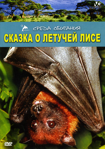 Сказка о летучей лисе на DVD