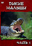 Дикие малыши. Часть 1 на DVD Дикие малыши. Часть 1 на DVD