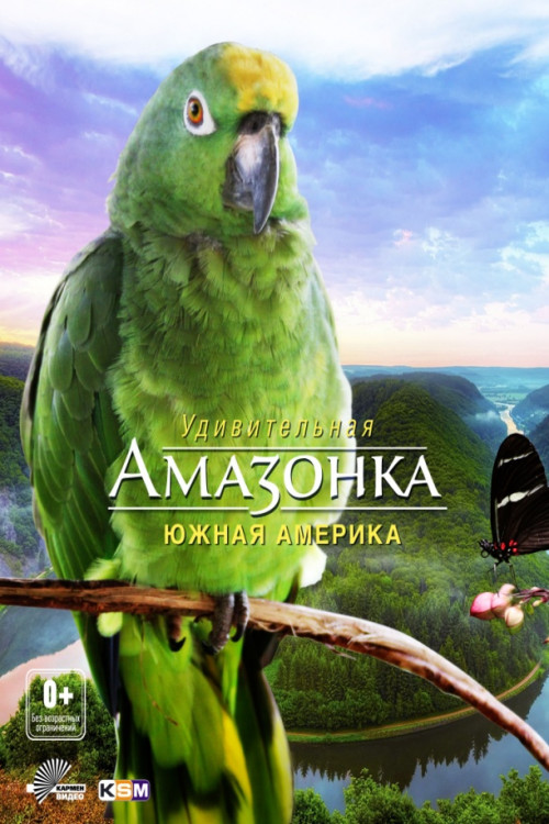 Амазонка Южная Америка на DVD Амазонка Южная Америка на DVD