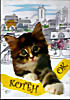 Котенок  на DVD