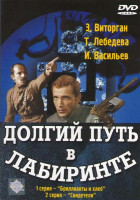 Изображение товара Долгий путь в лабиринте (3 серии) (2 DVD)