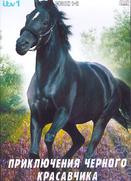 Приключения черного красавчика 1,2 Сезон (4DVD) на DVD Приключения черного красавчика 1,2 Сезон (4DVD) на DVD